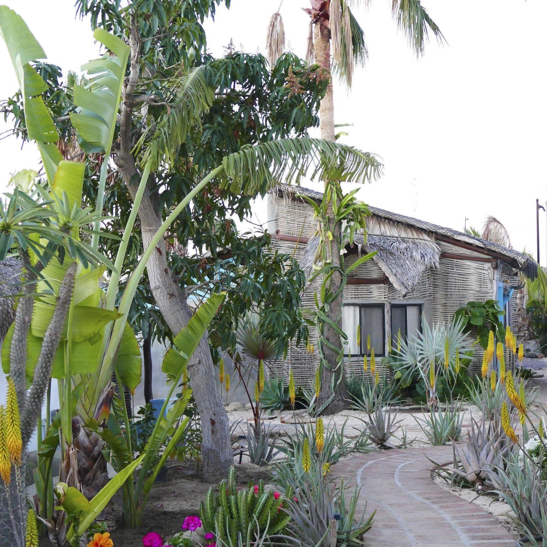 Hotel La Bohemia Todos los Santos Esterno foto